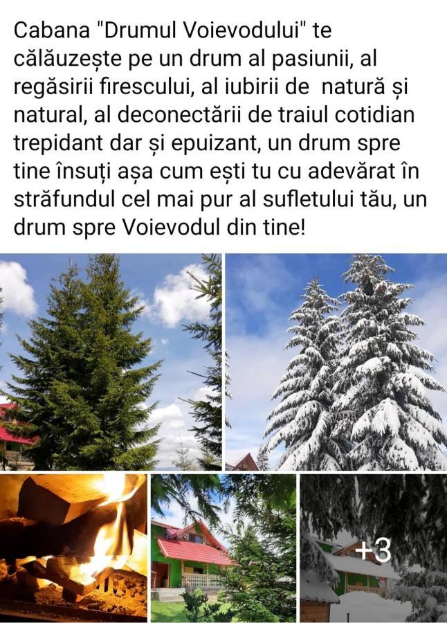 Cabana Drumul Voievodului Vulcan  Zewnętrze zdjęcie